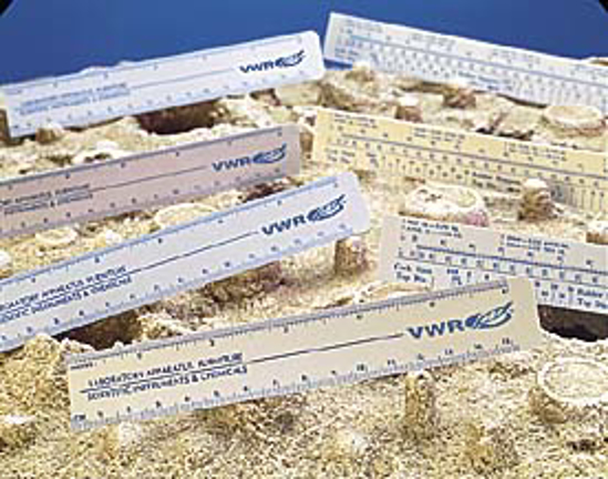 Picture of 6" White - Plastic Ruler