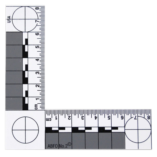 Picture of Photomacrographic Scale Ruler (ABFO No. 2)