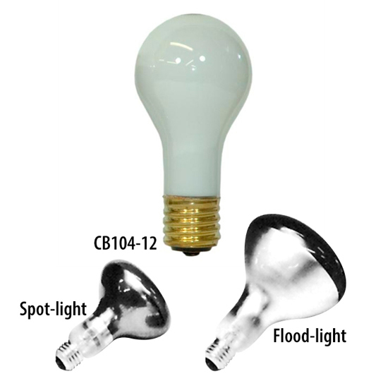 Picture of Specialty Light Bulbs